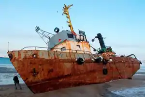 На север! Гастротур в Териберку - 19