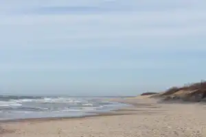 Куршская коса: земля древних куршей и великанши Неринги (из Калининграда) - 5