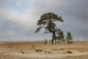 Фототур к самому Белому морю - 16