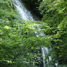 Освежающая поездка к водопаду "Джур-Джур"