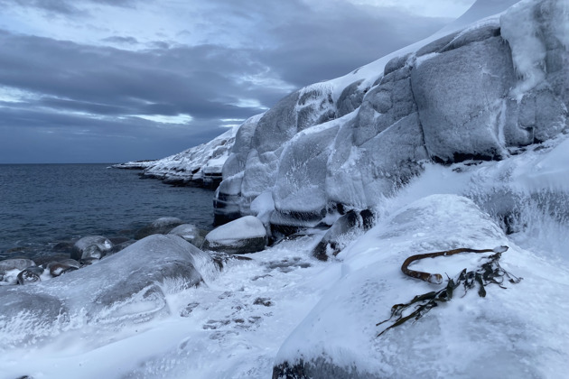 Экскурсия в Териберку + выход в Баренцево море - 5