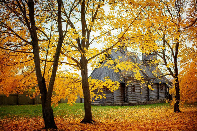 Пушкин: предки и потомки. Большое Болдино — имение Пушкиных - 1