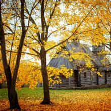 Пушкин: предки и потомки. Большое Болдино — имение Пушкиных Пушкин: предки и потомки. Большое Болдино — имение Пушкиных