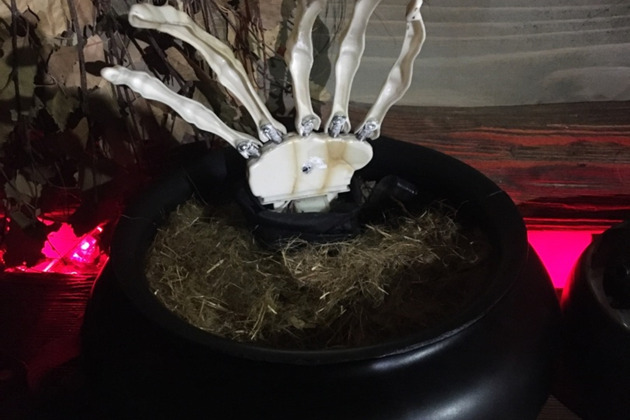 Сказочная экскурсия по Боголюбово и Владимиру с квестом для всей семьи - 4