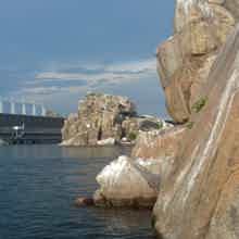 Над порогами: экскурсия по острову Хортица: