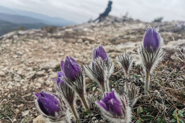 По диким местам Крыма. Едем, куда захотим - 5