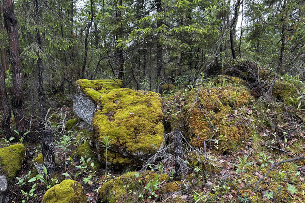 Хибины: однодневный джип-тур к подножью Куэльпорра - 50