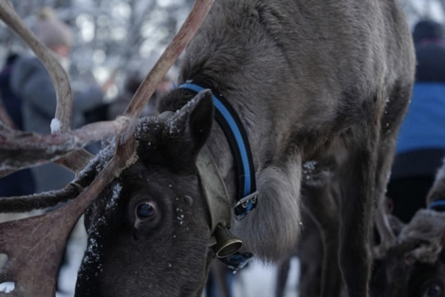 Путешествие в Саамскую деревню.Знакомство с коренным народом севера. - 9
