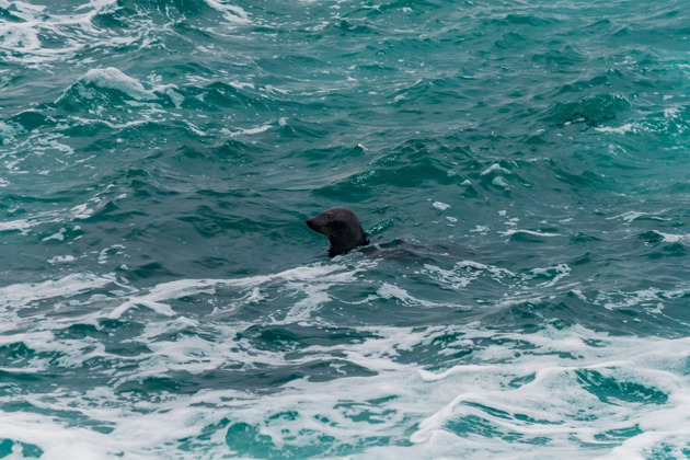 Суровый Север: киты, Териберка и кладбище кораблей - 2