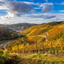 Очарование виноградных долин: взгляд сквозь призму времени