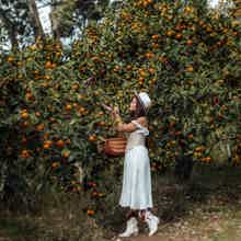 Гранд-тур Абхазия: Гагра, Мандариновый сад, Рица и Афон в мини-группе! Гранд-тур Абхазия: Гагра, Мандариновый сад, Рица и Афон в мини-группе!