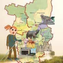 Прикамье Тур Турагентство
