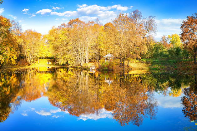 По пушкинским местам в Большое Болдино - 2