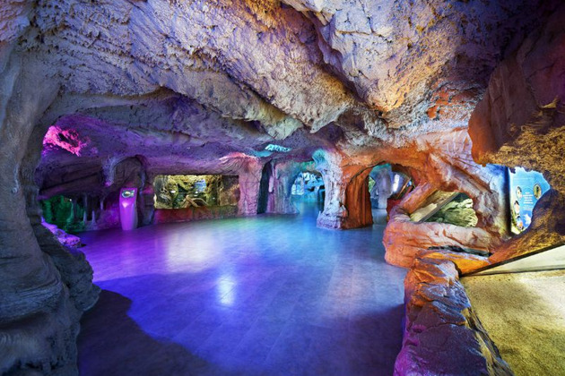 Поездка в Аквариум - билет + трансфер - 4