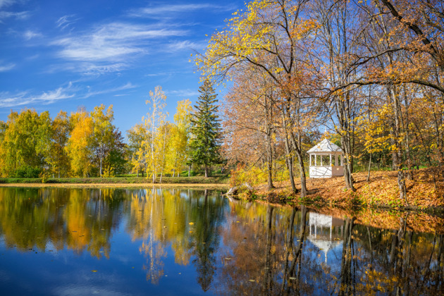 По пушкинским местам в Большое Болдино - 1