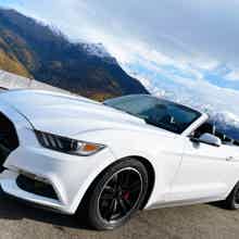 Горный драйв: на кабриолете Ford Mustang по Сочи и курортам Красной Поляны Горный драйв: на кабриолете Ford Mustang по Сочи и курортам Красной Поляны