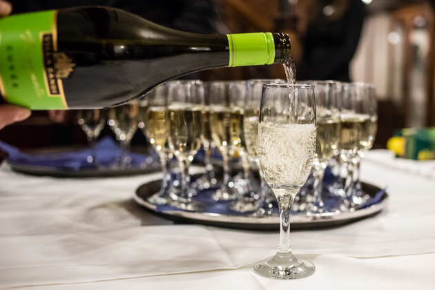 Круиз по Дунаю и PROSECCO без органичений - 11