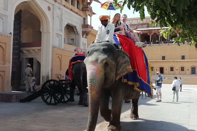 Сказочный «розовый» город Джайпур: из Дели и обратно - 6