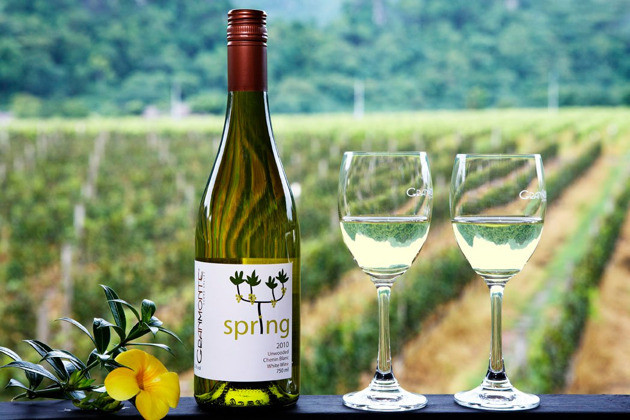 Авторская экскурсия на винодельню «Не ВИНОватая я» - 5