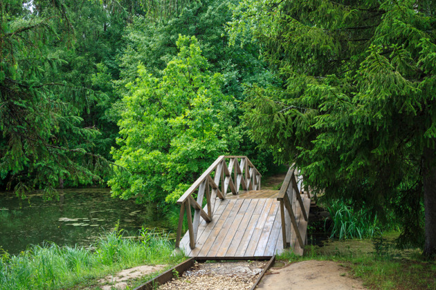 Места русской интеллигенции: авто-экскурсия в Мураново и Абрамцево - 7