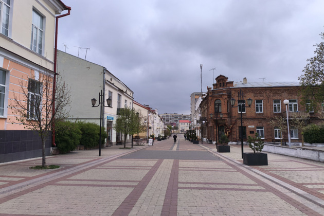 Пинск на ладонях. Экскурсия из Бреста на микроавтобусе. - 17