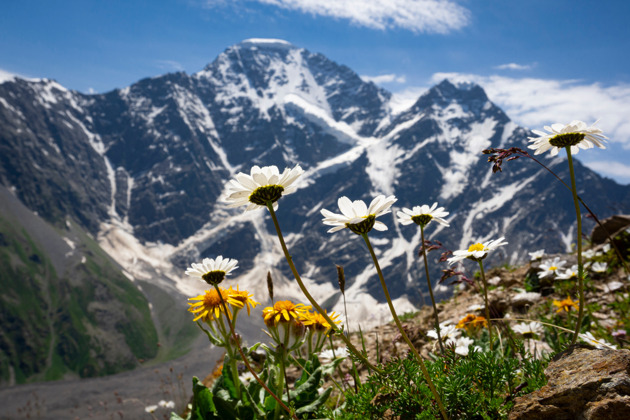 Экскурсия в Приэльбрусье: Гарабаши, Чегет и Поляна нарзанов - 1