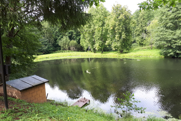 Дворянские имения Смоленщины: музей-усадьба Глинки и имение М.К. Тенишевой - 3