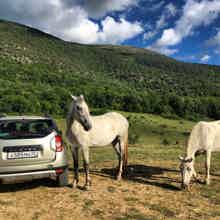 Из Судака по диким местам Крыма: едем, куда захотим