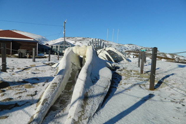Автопутешествие на край света — в Териберку - 9
