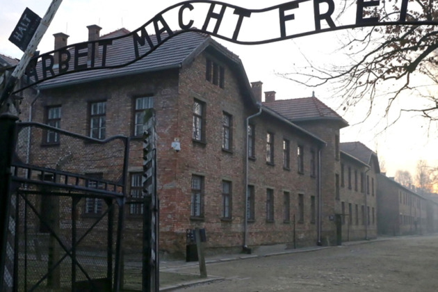 Экскурсия из Кракова в Освенцим, концлагерь Аушвиц-Биркенау. - 2