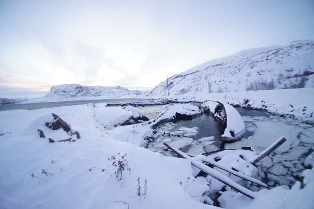 Индивидуальная экскурсия в Териберку в Новогодние каникулы - 6