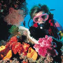 Дайвинг из Анталии Дайвинг из Анталии