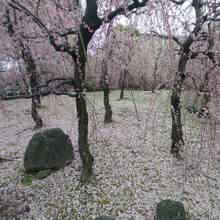 Олег