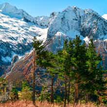 Тур в Домбай: Путешествие в сердце гор Тур в Домбай: Путешествие в сердце гор
