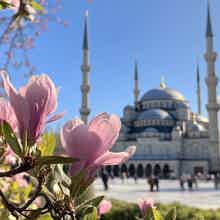 Главные музеи и дворцы Стамбула с гидом-историком