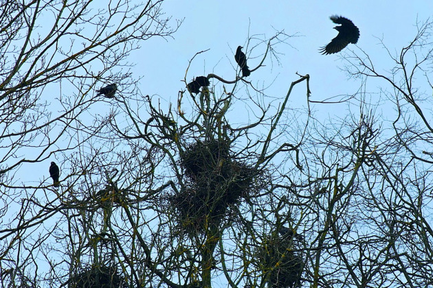 Мистический Смоленск: аудиоэкскурсия по Вознесенскому холму - 8