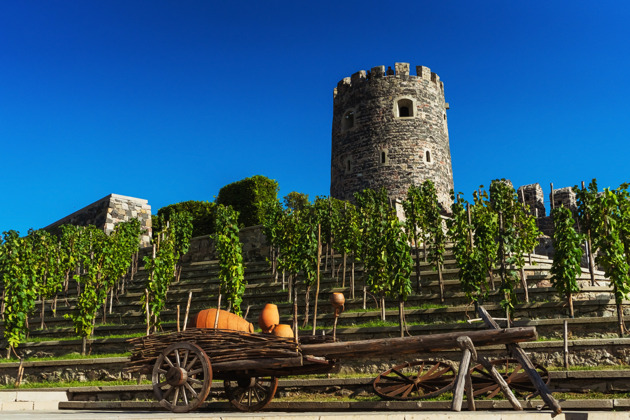 Грузия 360: от морских пейзажей Батуми до вершин Казбеги - 7