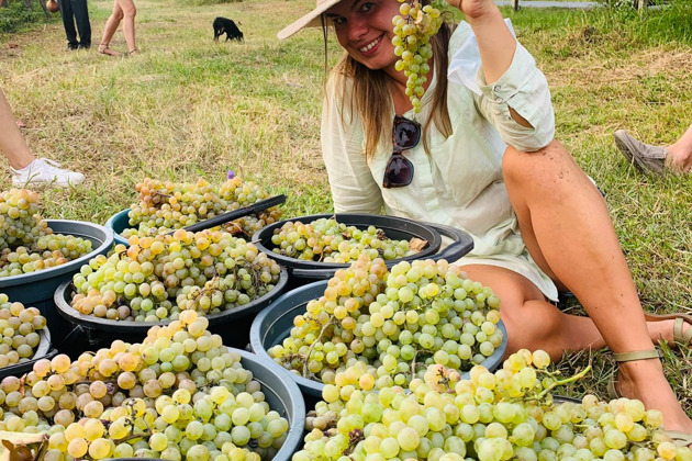 От лозы до тостов: Организованный Ртвели с традиционным застольем - 7