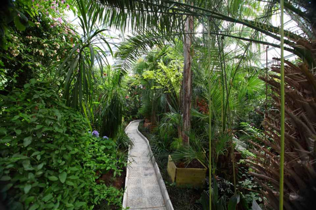 Зимние Хибины - путешествие в мир льда и камня! - 5