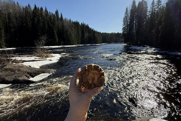 Карельские водопады: тур из Сортавала - 1