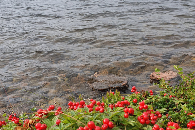 Кировск: величественная красота Хибинских гор - 11