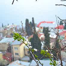 Обзорная прогулка по старой Ялте с её историей и колоритом