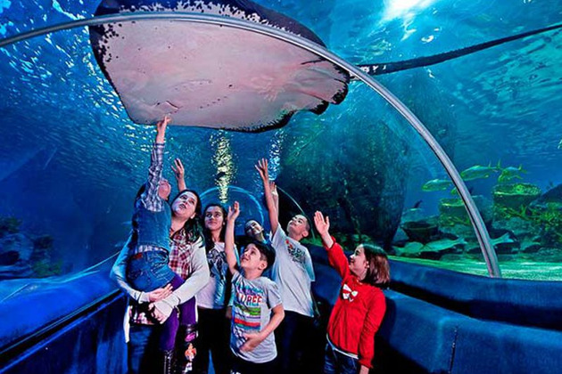 Поездка в Аквариум - билет + трансфер - 1