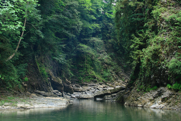 Джип-тур в Солохаул: Чайные плантации и полет на воздушном шаре в Сочи! - 7