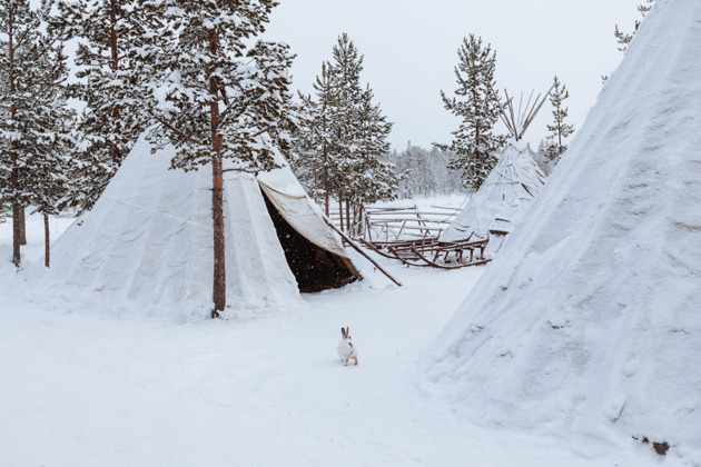 Саамская деревня. Этно-тур в Самь-Сыйт. - 6