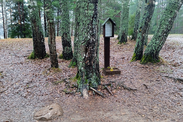 Семенов. Золотая Хохлома. Озеро Светлояр. Канатная дорога. - 4