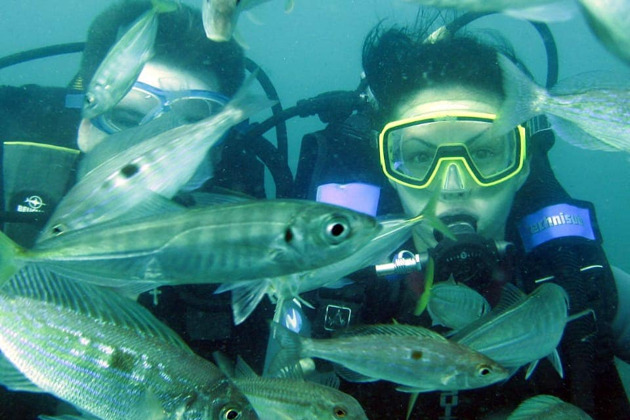 Дайвинг в Черном море - 4