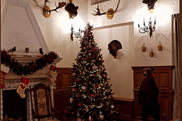 Мирский и Несвижский замок из Минска на автомобиле - 7