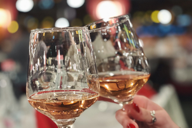 Круиз по Дунаю и PROSECCO без органичений - 5