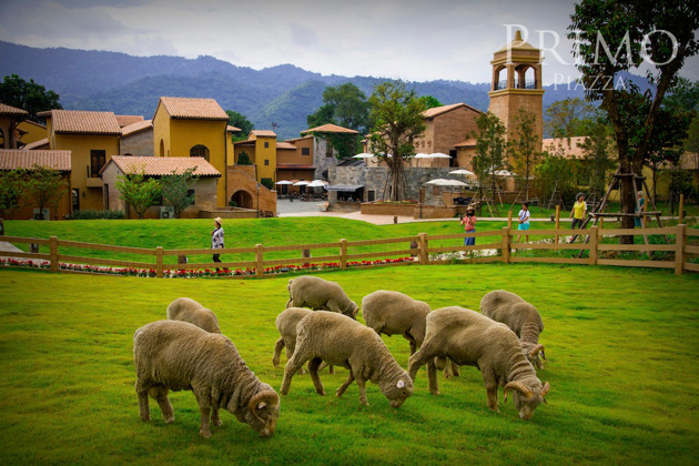 Авторская экскурсия на винодельню «Не ВИНОватая я» - 4